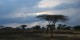 Tanzanie - 2010-09 - 133 - Serengeti - Ciel
